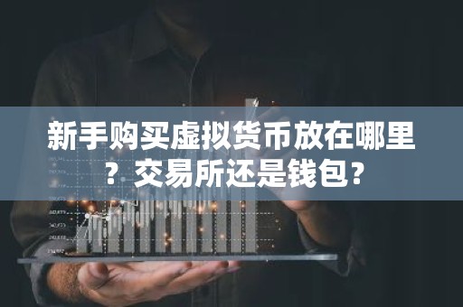 新手购买虚拟货币放在哪里？交易所还是钱包？