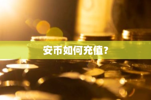 安币如何充值？