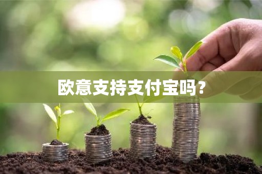 欧意支持支付宝吗？