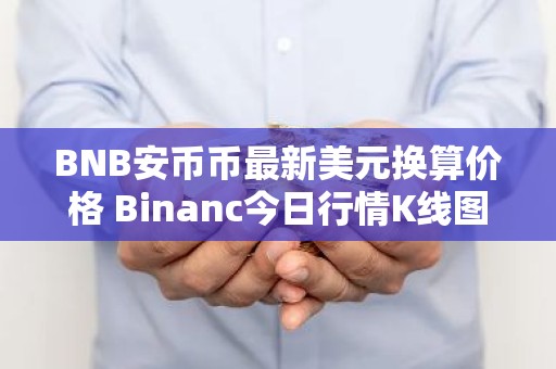 BNB安币币最新美元换算价格 Binanc今日行情K线图