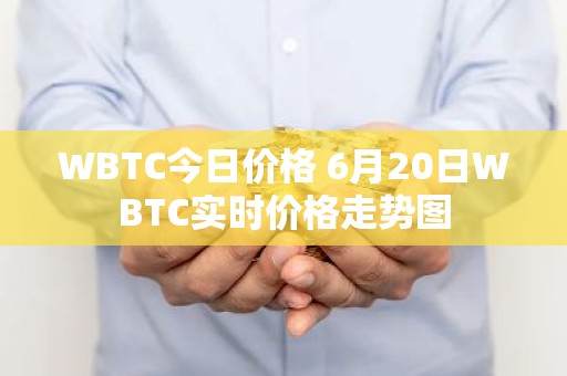 WBTC今日价格 6月20日WBTC实时价格走势图
