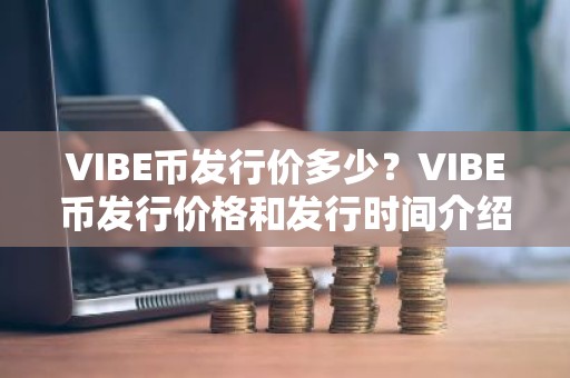 VIBE币发行价多少？VIBE币发行价格和发行时间介绍