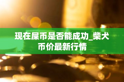现在屎币是否能成功_柴犬币价最新行情