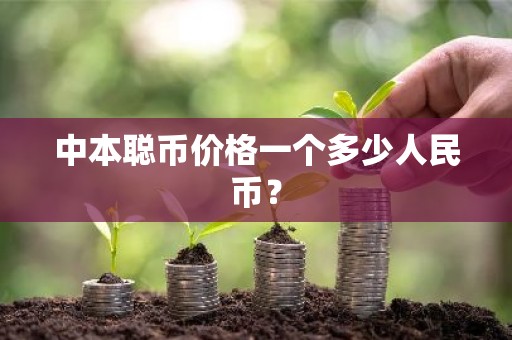 中本聪币价格一个多少人民币？