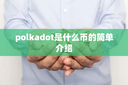 polkadot是什么币的简单介绍