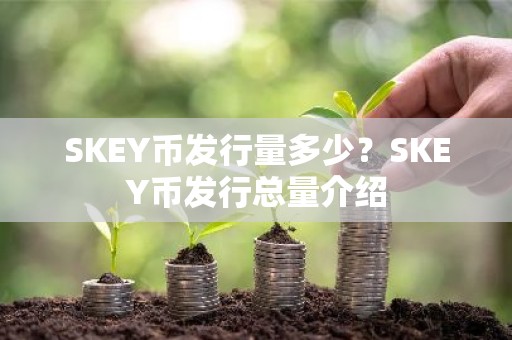 SKEY币发行量多少？SKEY币发行总量介绍