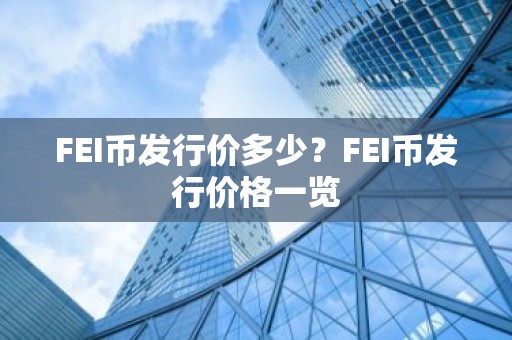 FEI币发行价多少？FEI币发行价格一览