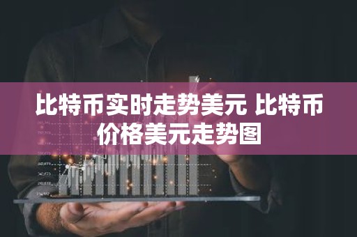 比特币实时走势美元 比特币价格美元走势图