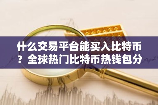 什么交易平台能买入比特币？全球热门比特币热钱包分享
