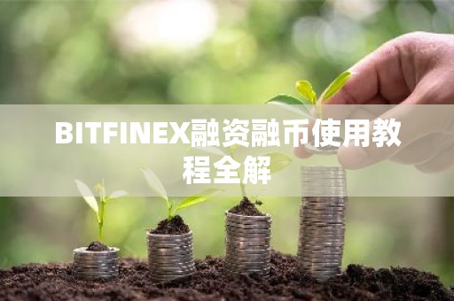 BITFINEX融资融币使用教程全解