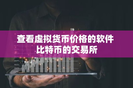查看虚拟货币价格的软件 比特币的交易所