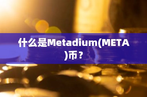 什么是Metadium(META)币？