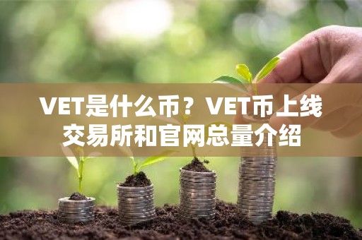 VET是什么币？VET币上线交易所和官网总量介绍