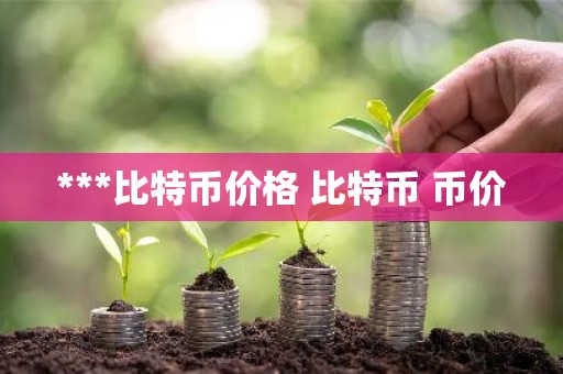 ***比特币价格 比特币 币价
