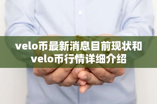 velo币最新消息目前现状和velo币行情详细介绍
