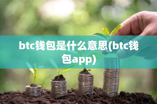 btc钱包是什么意思(btc钱包app)
