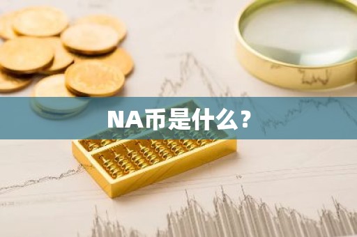 NA币是什么？