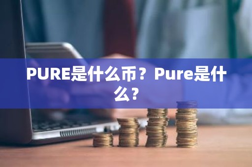 PURE是什么币？Pure是什么？