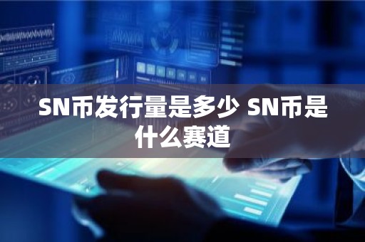 SN币发行量是多少 SN币是什么赛道