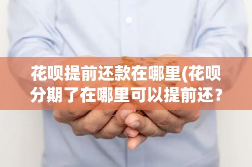 花呗提前还款在哪里(花呗分期了在哪里可以提前还？)