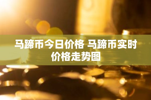 马蹄币今日价格 马蹄币实时价格走势图