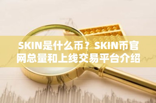 SKIN是什么币？SKIN币官网总量和上线交易平台介绍