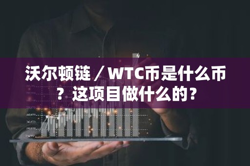 沃尔顿链／WTC币是什么币？这项目做什么的？