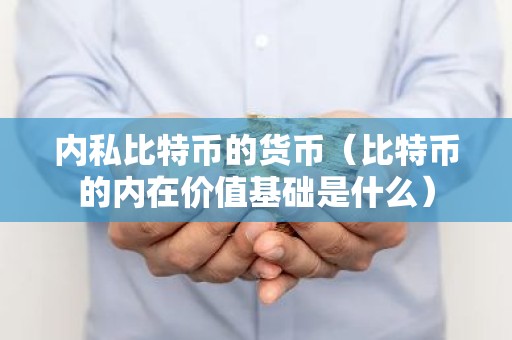 内私比特币的货币（比特币的内在价值基础是什么）