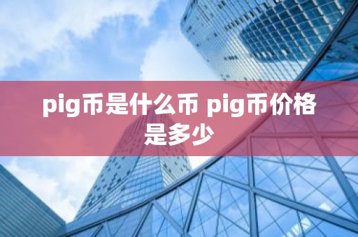 pig币是什么币 pig币价格是多少