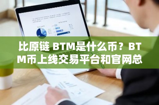 比原链 BTM是什么币？BTM币上线交易平台和官网总量介绍