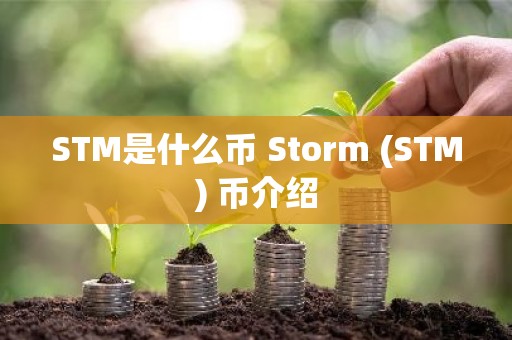 STM是什么币 Storm (STM) 币介绍