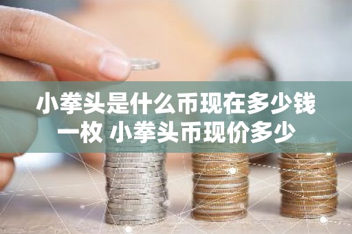 小拳头是什么币现在多少钱一枚 小拳头币现价多少