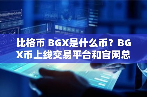 比格币 BGX是什么币？BGX币上线交易平台和官网总量介绍