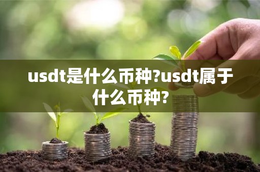 usdt是什么币种?usdt属于什么币种?