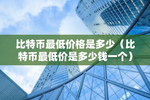 比特币最低价格是多少（比特币最低价是多少钱一个）