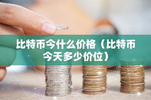比特币今什么价格（比特币今天多少价位）