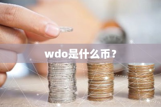 wdo是什么币？
