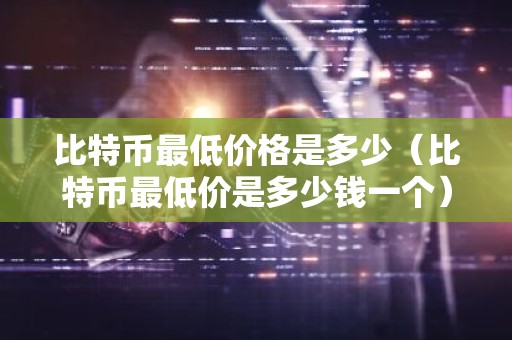 比特币最低价格是多少（比特币最低价是多少钱一个）
