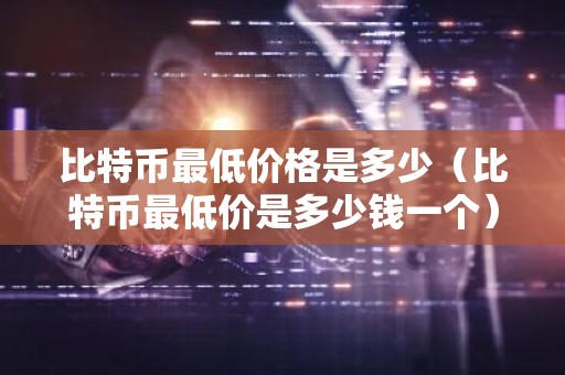比特币最低价格是多少（比特币最低价是多少钱一个）