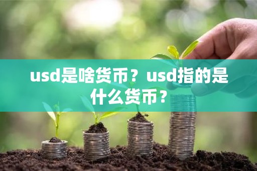usd是啥货币？usd指的是什么货币？