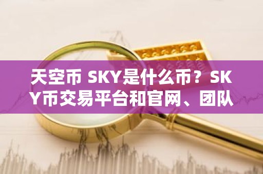 天空币 SKY是什么币？SKY币交易平台和官网、团队介绍