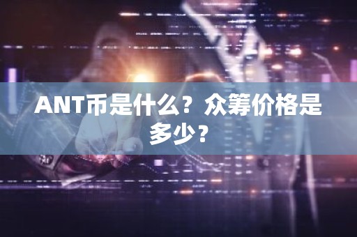 ANT币是什么？众筹价格是多少？