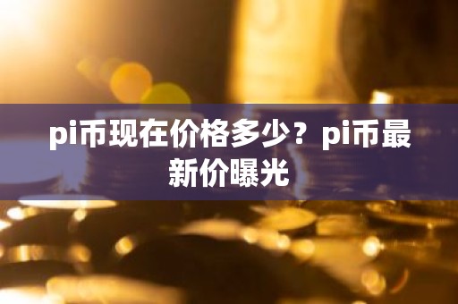 pi币现在价格多少？pi币最新价曝光
