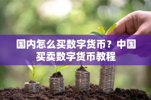 国内怎么买数字货币？中国买卖数字货币教程