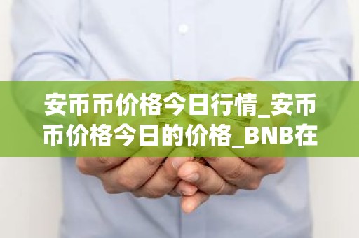安币币价格今日行情_安币币价格今日的价格_BNB在哪个交易所