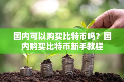 国内可以购买比特币吗？国内购买比特币新手教程
