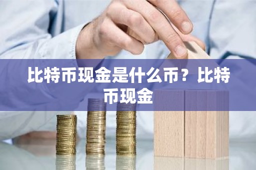 比特币现金是什么币？比特币现金