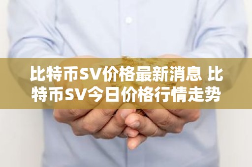 比特币SV价格最新消息 比特币SV今日价格行情走势