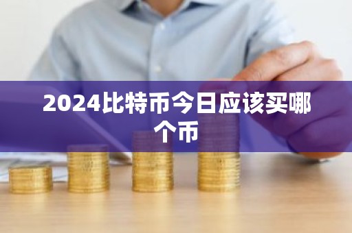 2024比特币今日应该买哪个币