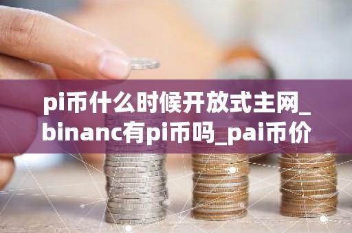 pi币什么时候开放式主网_binanc有pi币吗_pai币价格今日行情人民币